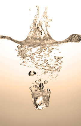 Slideshow Image 3