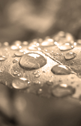Slideshow Image 1